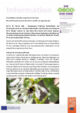WorldPulsesDay_2026.pdf