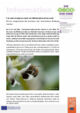PM_Bluete.pdf