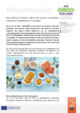PM_Fibermaxxing.pdf